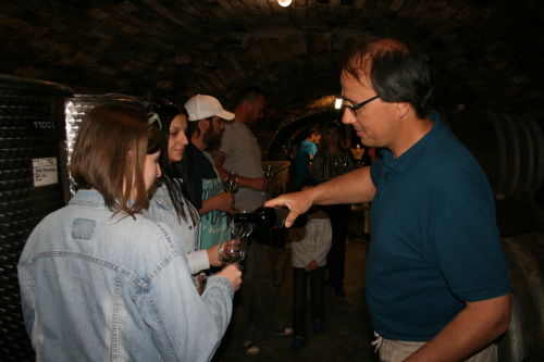 1_gemenci-erdo-vizitura-0767