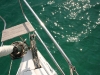 skipper tréning kép1