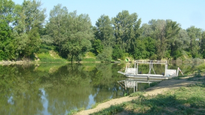 Bodrog vízitúra P1020291