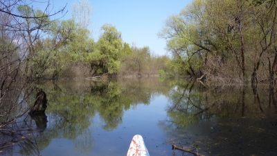 bodrog-arter-vizitura-kep1