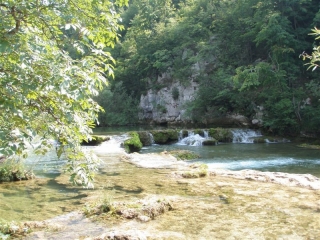 mreznica-vizitura-4