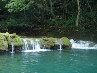 mreznica-vizitura-5