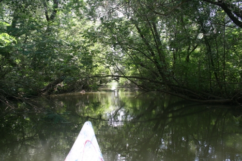 Tisza-to-vizitura_3871