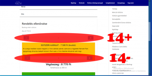 Salesform_Kepernyofelvetel