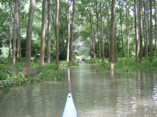 Szigetköz